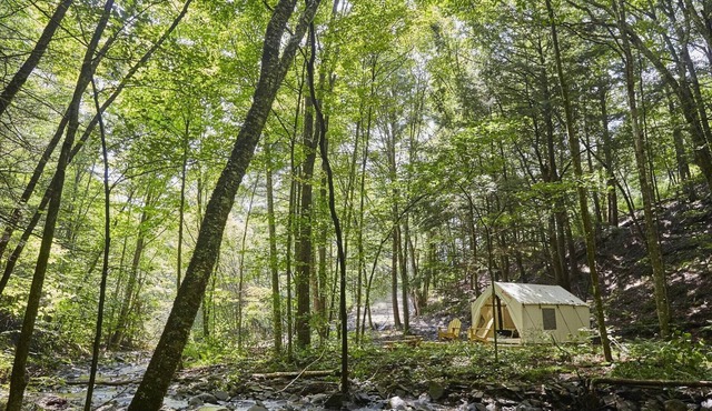 Tentrr Signature Site - Huntley Hollow Brook