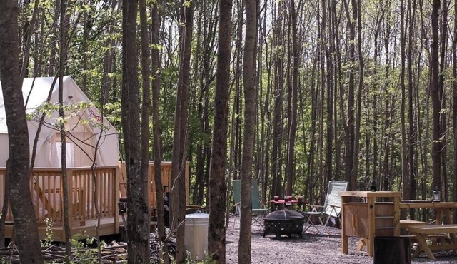 Tentrr Signature Site - "Simplistic"