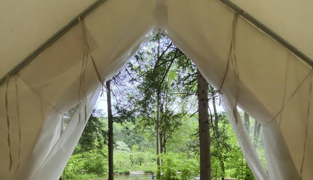 Tentrr Signature Site - Daydreamin on Dyberry Creek