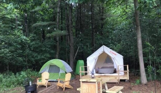 Tentrr Signature Site - Dreamroad Farm Pine Tree