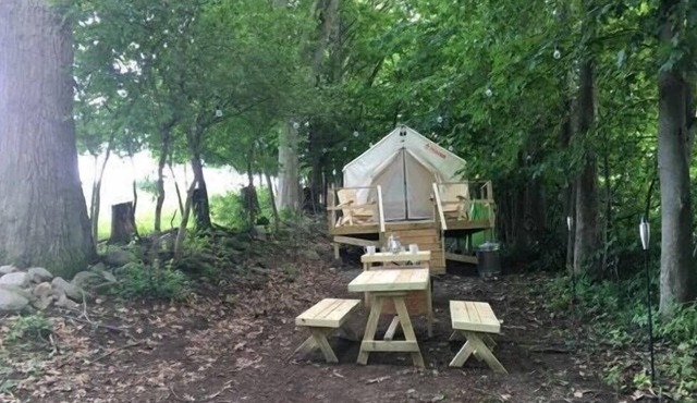 Tentrr Signature Site - Dreamroad Farm Pasture View