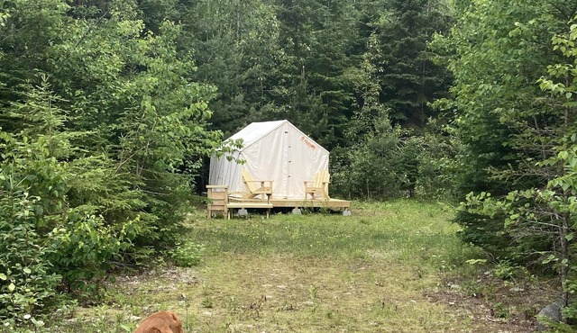 Tentrr Signature Site - Western Maine Campsite