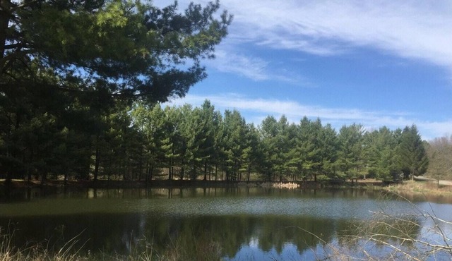 Tentrr Signature Site - Moonlit Pond South