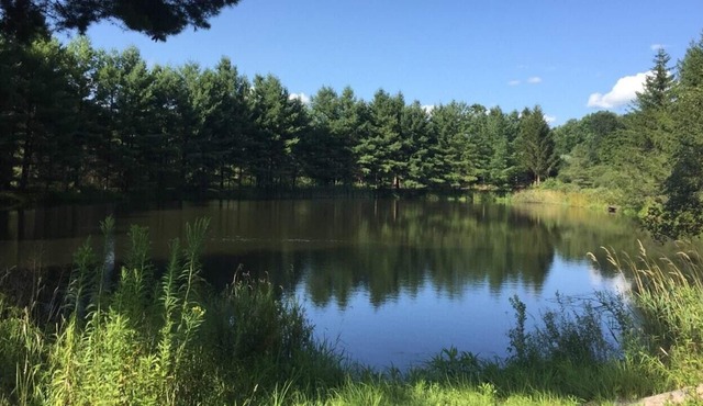 Tentrr Signature Site - Moonlit Pond