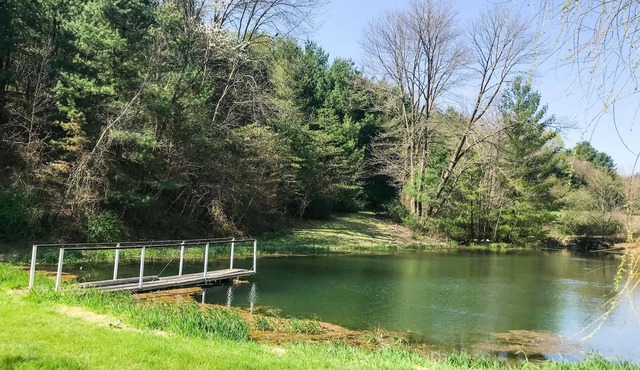 Tentrr Signature Site - Forest Hideaway