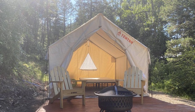 Tentrr Signature Site - Waylon's Way - Tentrr Plus Site open for winter camping
