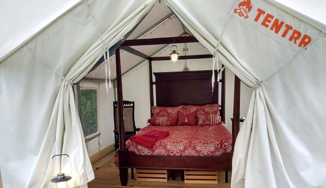 Tentrr Signature Site - Wine Country Treasure - Coleman Outfitted Site