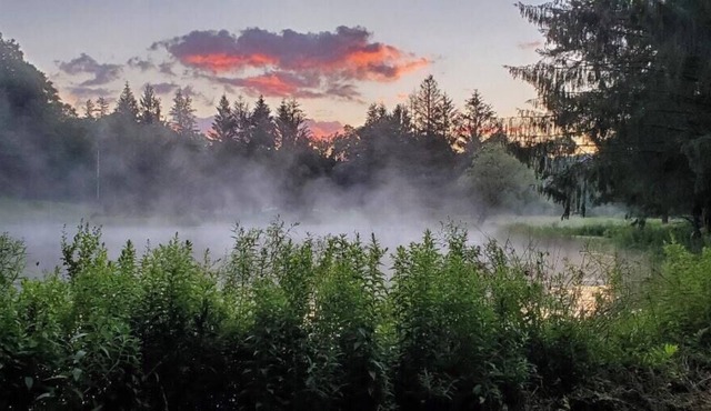 Tentrr Signature Site - Wolf Camp