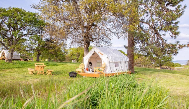 Tentrr Signature Site - Pines Place at Lane Creek Reserve