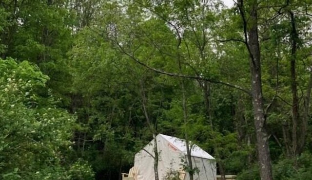 Tentrr Signature Site - Caryn Campsite