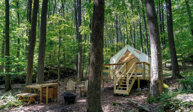 Tentrr State Park Site - WV Coopers Rock State Park - Site C - Single Camp