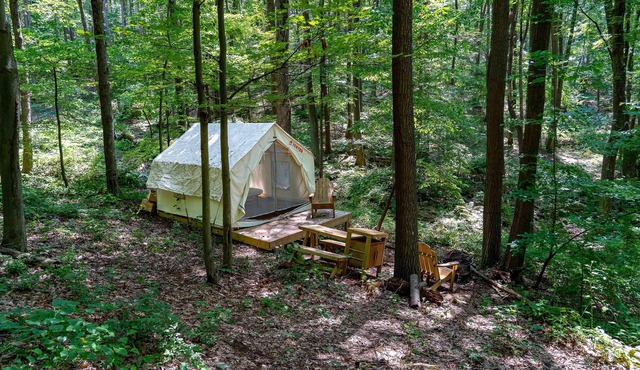 Tentrr State Park Site - WV Coopers Rock State Park - Site D - Single Camp