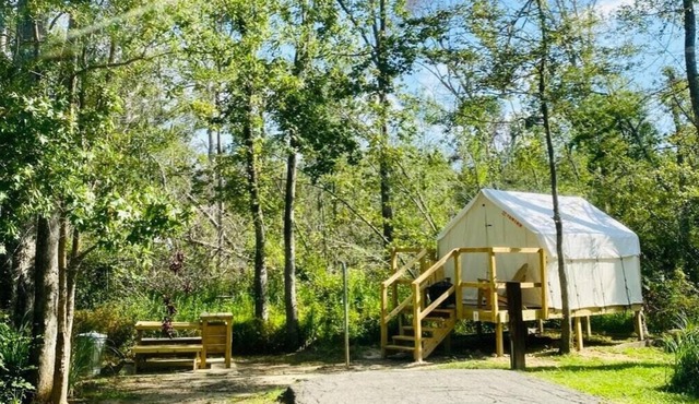 Tentrr State Park Site - Louisiana Tickfaw State Park - Woodland C - Single Camp