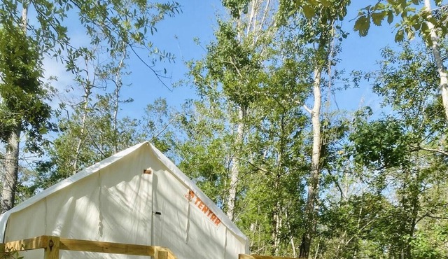 Tentrr State Park Site - Louisiana Tickfaw State Park - Woodland F - Single Camp