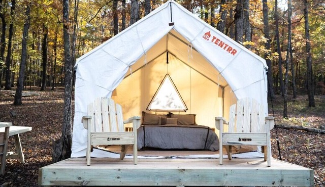 Tentrr State Park Site - Mississippi Tishomingo State Park - Haynes Lake South C