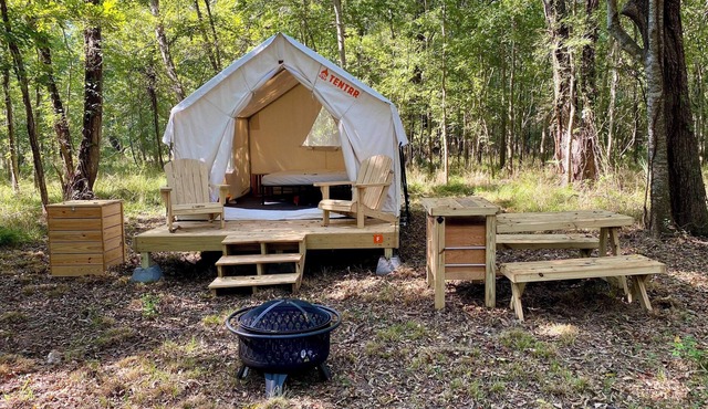 Tentrr State Park Site - Texas Brazos Bend State Park - Trailside F – Single C