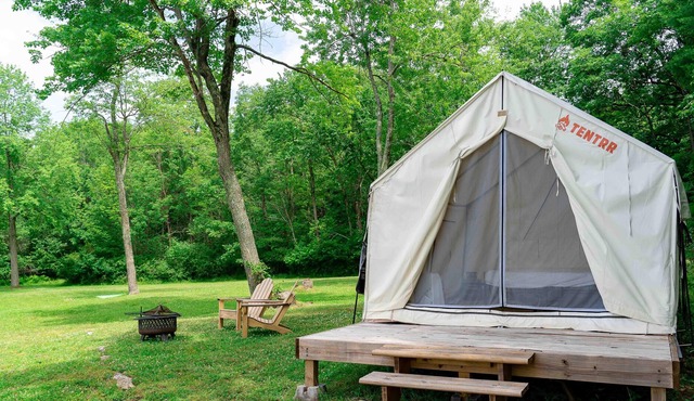 Tentrr State Park Site - Lake Taghkanic Lakeside Single - Site B
