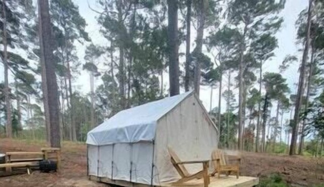 Tentrr State Park Site - Louisiana North Toledo Bend State Park - Lakeview D - S