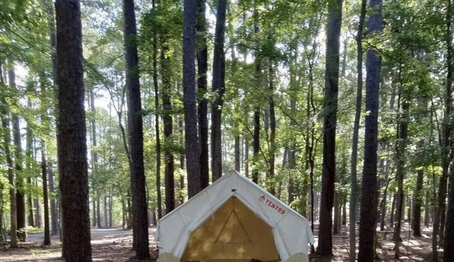 Tentrr State Park Site - Louisiana North Toledo Bend State Park - Forest Glade H
