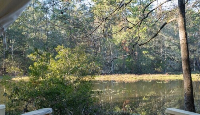 Tentrr State Park Site - Mississippi Percy Quin State Park - Southside Lakeview