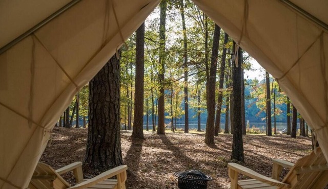 Tentrr State Park Site - Mississippi Roosevelt State Park - Tall Trees C - Singl