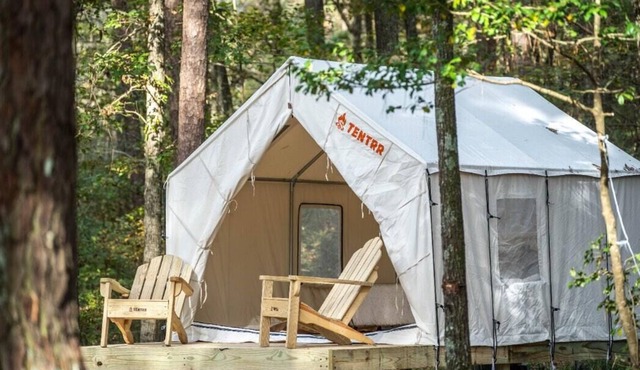 Tentrr State Park Site - Mississippi Roosevelt State Park - Tall Trees A - Sing