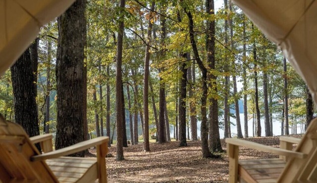 Tentrr State Park Site - Mississippi Roosevelt State Park - I - Single Camp
