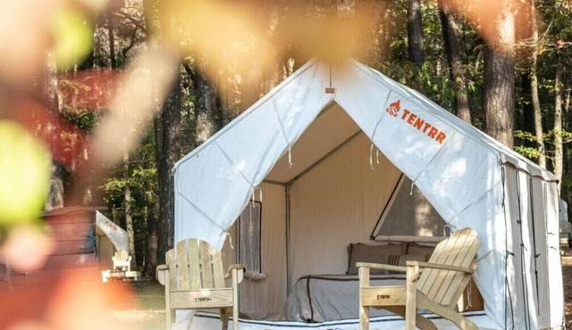 Tentrr State Park Site - Mississippi Roosevelt State Park - Shadow Lake E - Sing