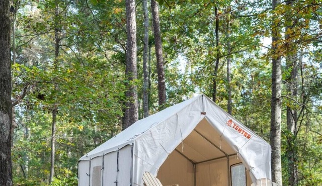 Tentrr State Park Site - Mississippi Roosevelt State Park - Tall Trees H - Singl