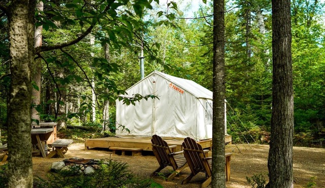 Tentrr State Park Site - Maine Mount Blue State Park - Wooded Site - Single Camp