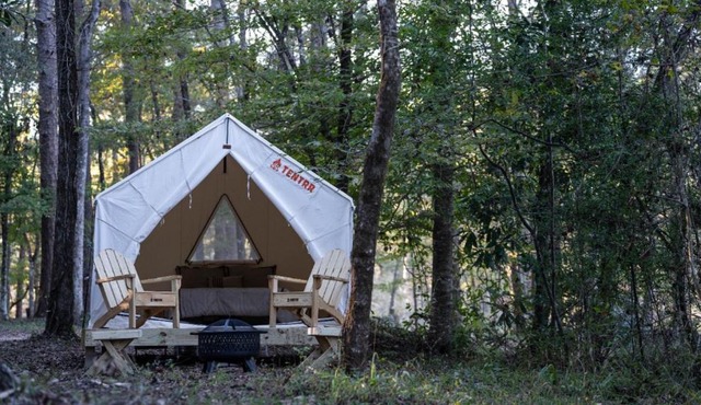 Tentrr State Park Site - Mississippi Percy Quin State Park - Southside Lakeview I - Single Camp