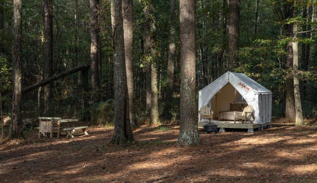 Tentrr State Park Site - Mississippi Roosevelt State Park - Tall Trees D - Single Camp