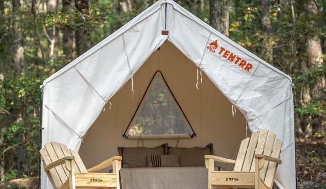 Tentrr State Park Site - Mississippi Roosevelt State Park - Tall Trees B - Single Camp