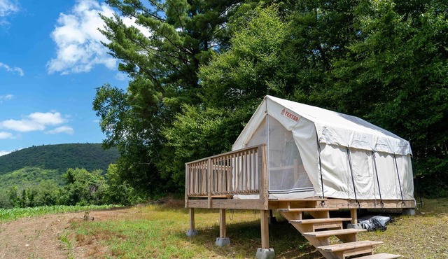 Tentrr State Park Site - NY Taconic State Park: High Valley Rd Site B
