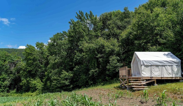 Tentrr State Park Site - NY Taconic State Park: High Valley Rd Site A