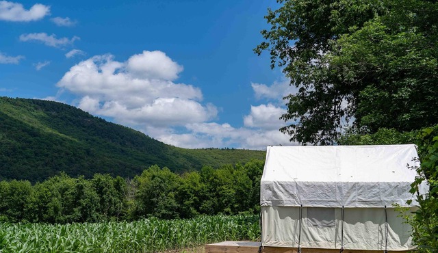 Tentrr State Park Site - NY Taconic State Park: High Valley Rd Site C