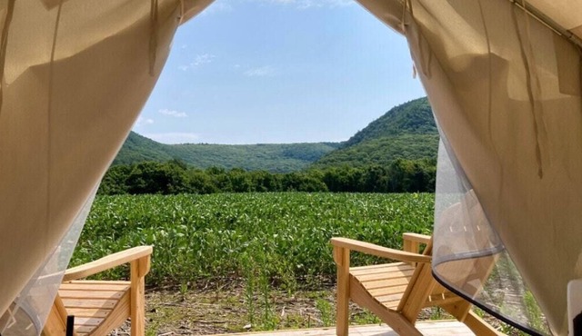 Tentrr State Park Site - NY Taconic State Park: High Valley Rd Site D