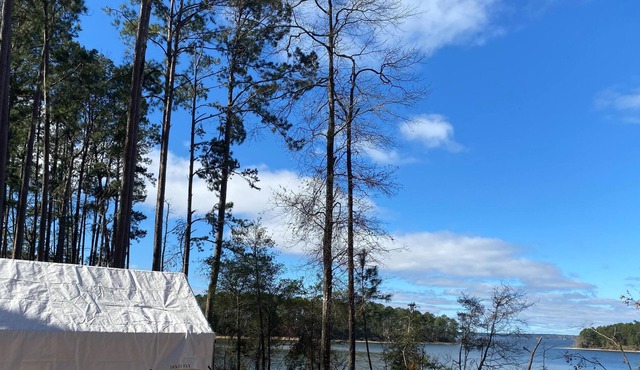 Tentrr State Park Site - Louisiana South Toledo Bend State Park - Site C - Sing