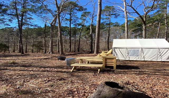 Tentrr State Park Site - Louisiana South Toledo Bend State Park - Site F - Sing