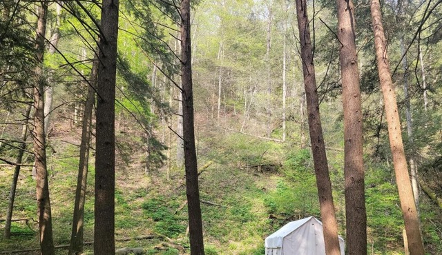 Tentrr State Park Site - Big Run State Park - Site A