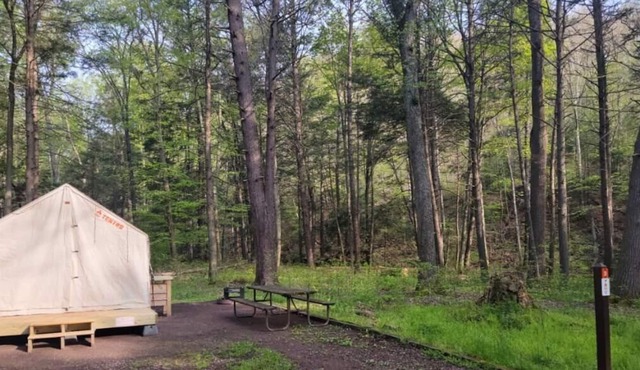 Tentrr State Park Site - Big Run State Park - Site D