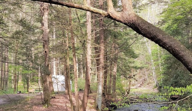 Tentrr State Park Site - Big Run State Park - Site F