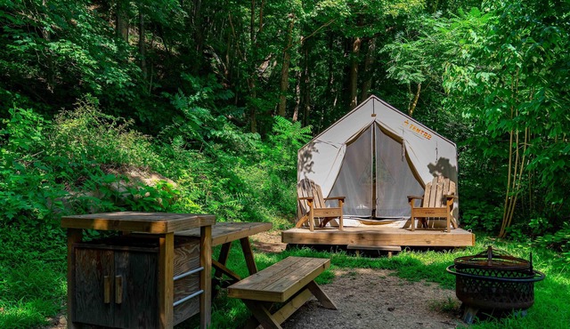 Tentrr State Park Site - WV Hawk's Nest State Park - Site H - Single Camp