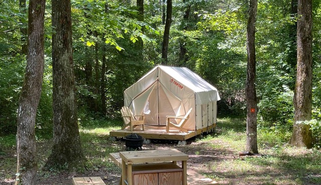 Tentrr State Park Site - Mississippi Wall Doxey State Park - Woodland A - Single