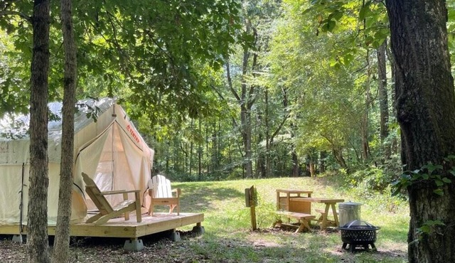 Tentrr State Park Site - Mississippi Wall Doxey State Park - Trailside B - Singl
