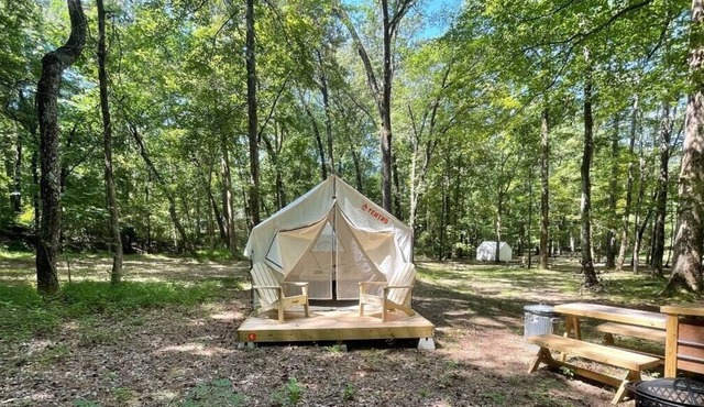 Tentrr State Park Site - Mississippi Wall Doxey State Park - Woodland C - Single