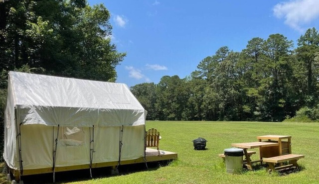 Tentrr State Park Site - Mississippi Wall Doxey State Park - Fresh Field E - Sin