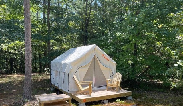 Tentrr State Park Site - Mississippi Wall Doxey State Park - Fresh Field I - Sin