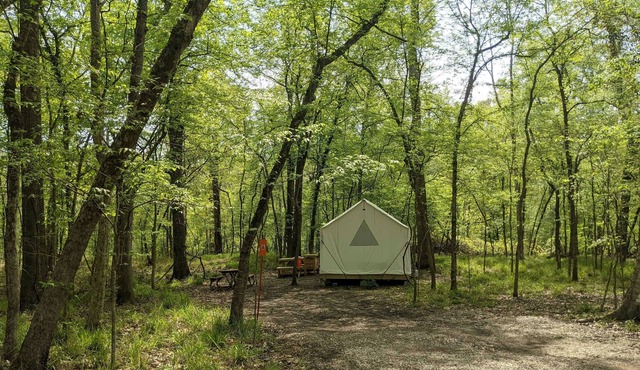 Tentrr State Park Site - Louisiana Chicot State Park - Site A - Single Camp