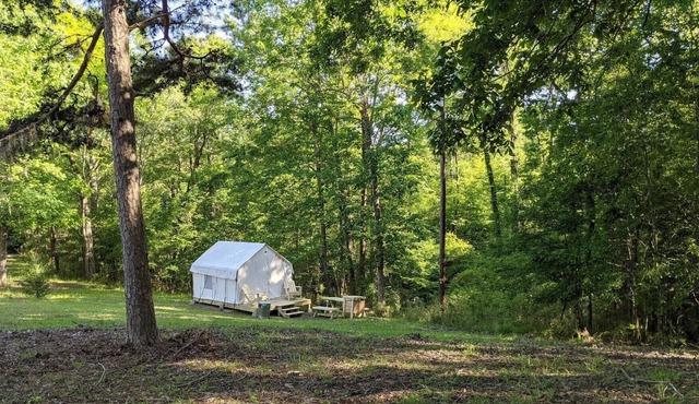 Tentrr State Park Site - Louisiana Chicot State Park - Site H - Single Camp